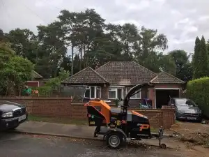 Tree Services Grinder Haslemere