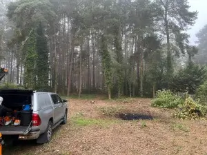 Gareth Tree Working Lindford