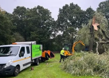 Dr Jones Tree Removal Team Working
