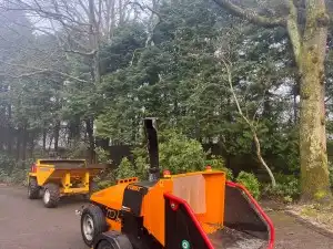 Dr Jones tree grinders
